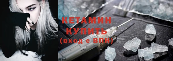сатива Краснослободск