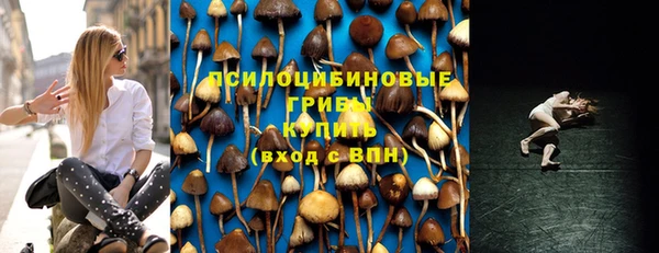сатива Краснослободск