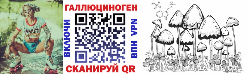 Псилоцибиновые грибы мицелий  Купить где  Темников 