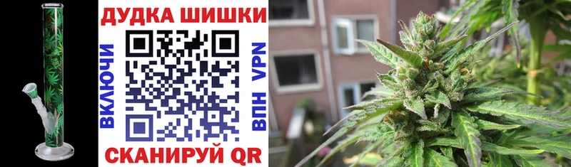 Купить закладки  Темников  Бошки Шишки сатива 